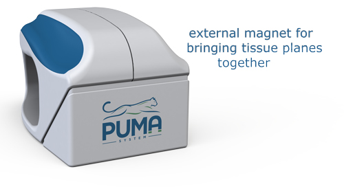 puma-explained-resize