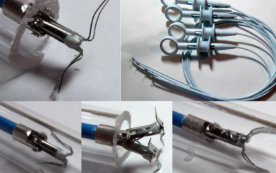 Expandable Endoscopic Tool